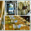 Nashoba-Valley-CollageF-2-e1607367890177