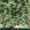 October-30-2014-040-scaled