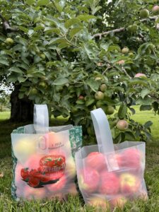 Nashoba Valley Winery & Orchard